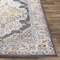 Livabliss Ankara AKR-2303 Machine Crafted Area Rug AKR2303-679 - alternate 4